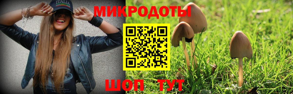 наркота  Галлюциногенные грибы прущие грибы  Вход с VPN  Печора 